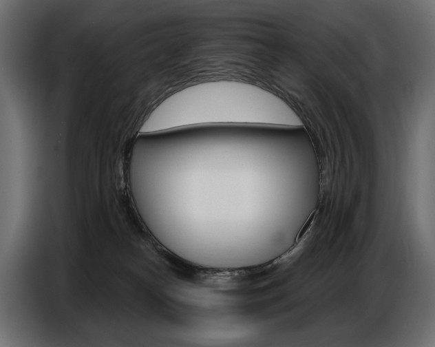 X0000086800182200704130908