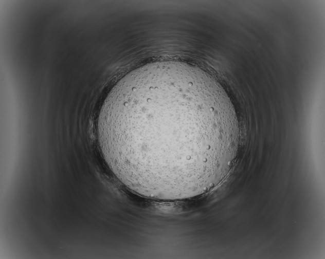 X0000086800187200704130908