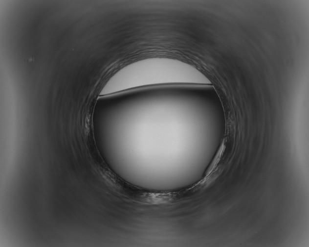 X0000086800188200704130908