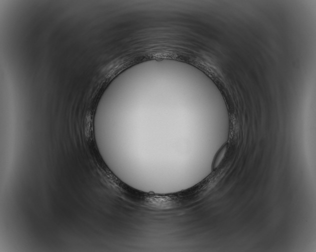 X0000086800189200704130908