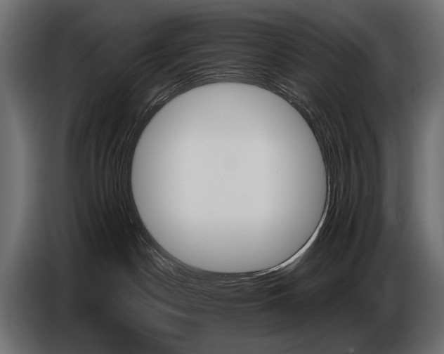 X0000086800190200704130908