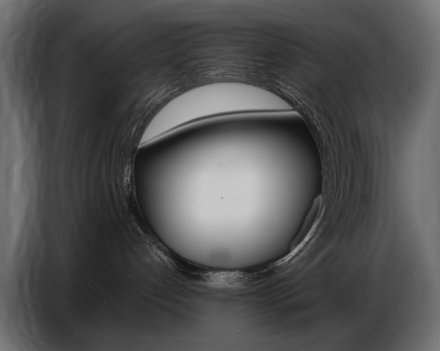 X0000086800192200704130908