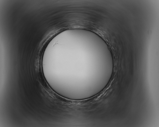 X0000086800194200704130908