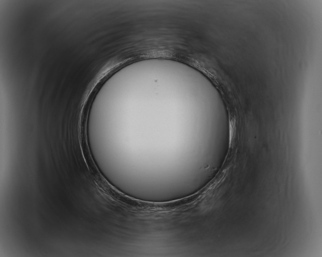 X0000086800195200704130908