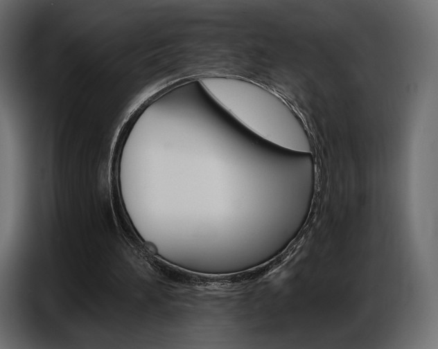 X0000086800196200704130908