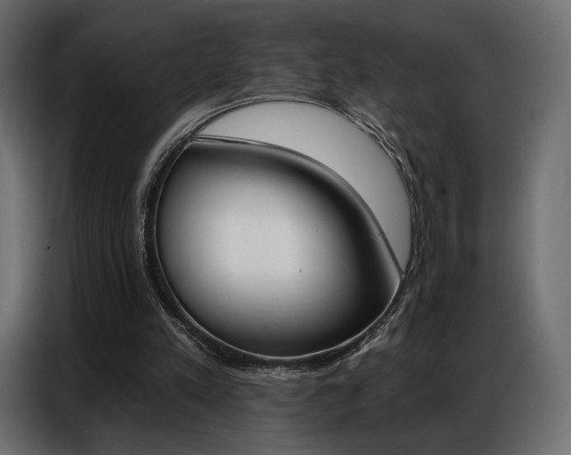X0000086800197200704130908