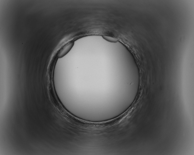 X0000086800198200704130908