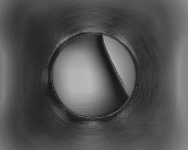 X0000086800204200704130908