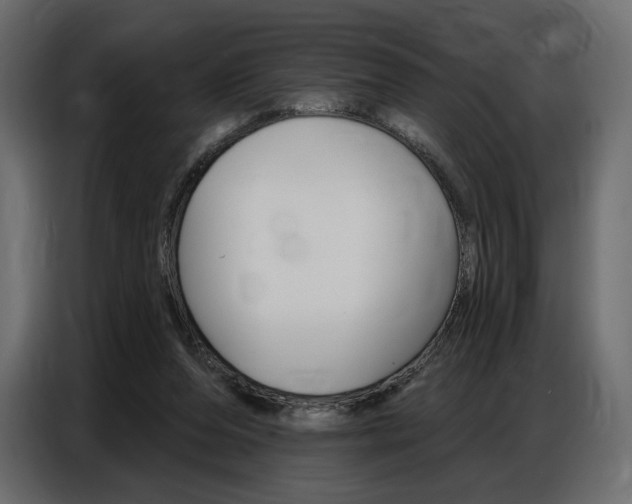 X0000086800208200704130908