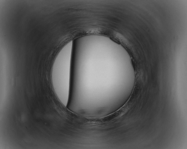 X0000086800209200704130908