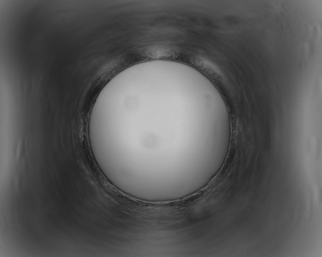 X0000086800210200704130908