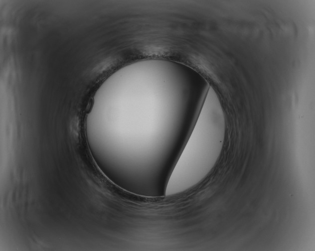 X0000086800211200704130907