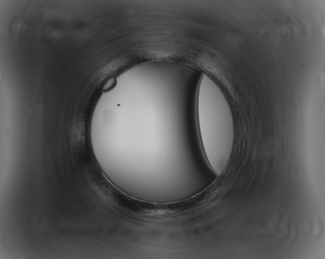X0000086800212200704130907