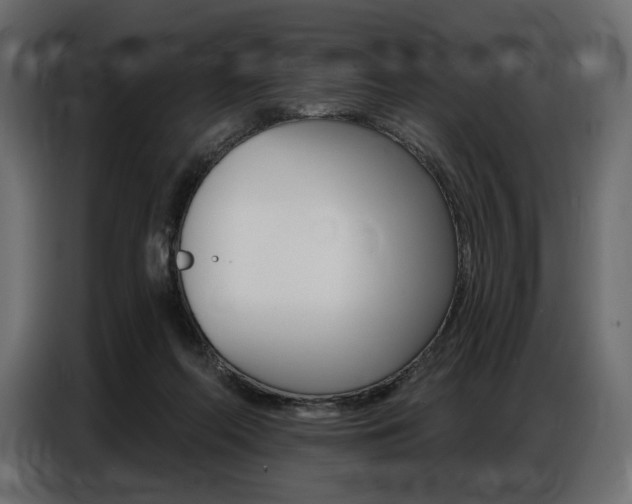 X0000086800214200704130907