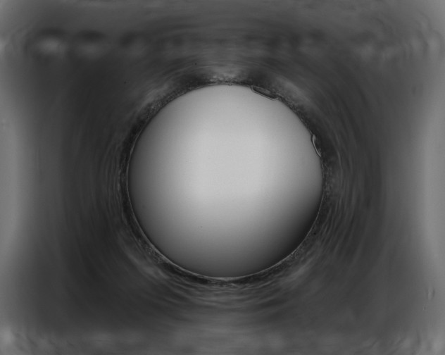 X0000086800215200704130907