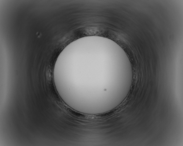 X0000086800226200704130907