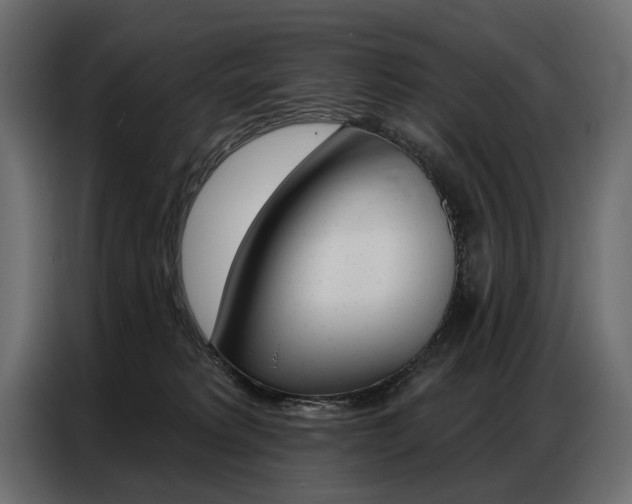 X0000086800229200704130907