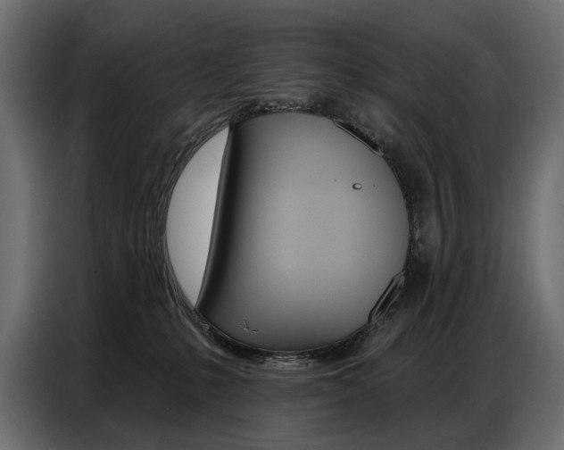 X0000086800231200704130907