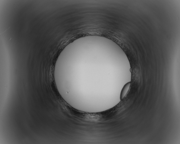 X0000086800234200704130907