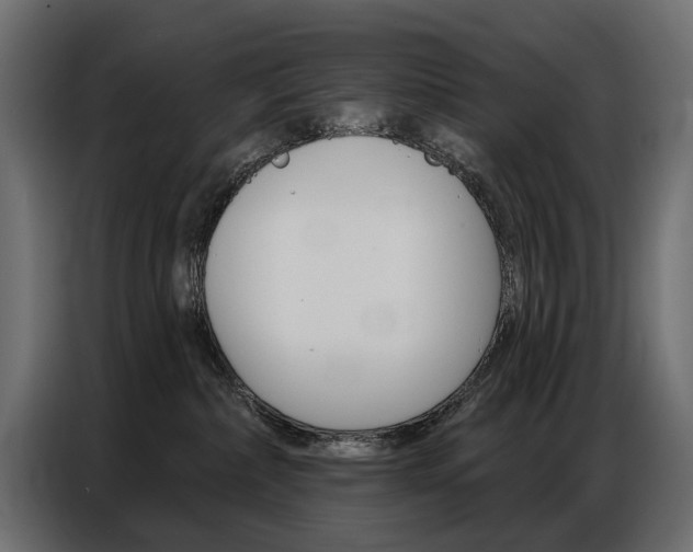X0000086800236200704130907