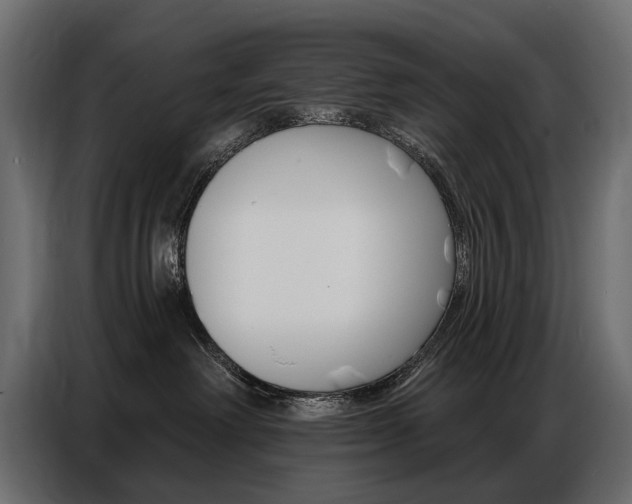X0000086800238200704130907