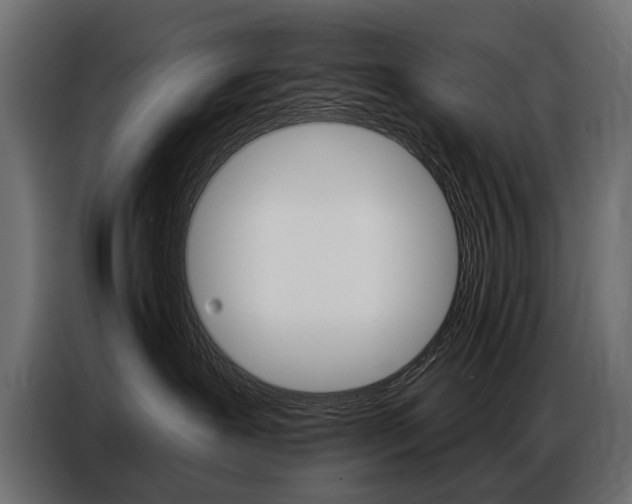 X0000086800239200704130907
