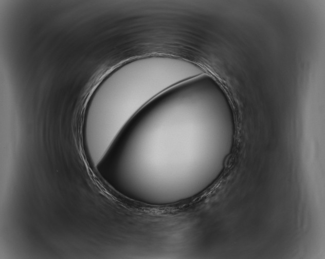 X0000086800241200704130906