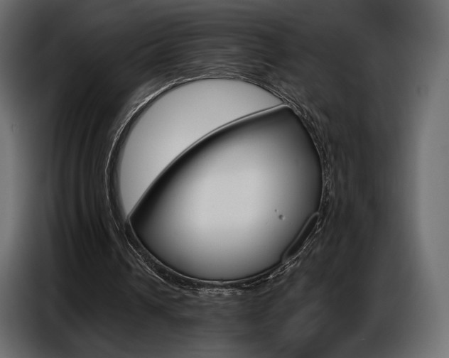 X0000086800242200704130906