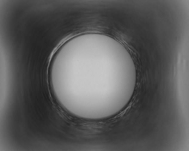 X0000086800244200704130906