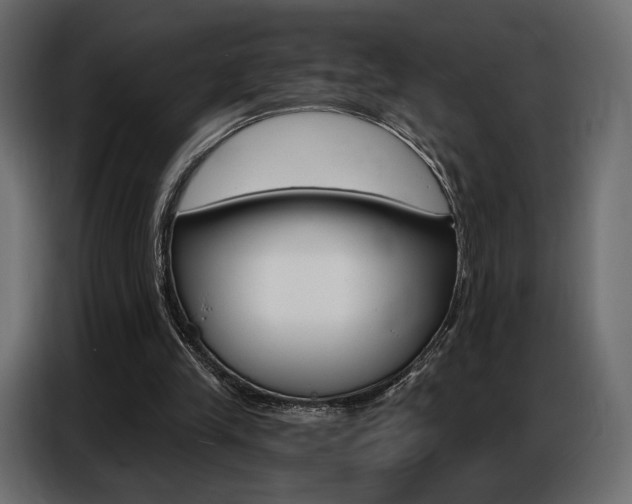 X0000086800245200704130906