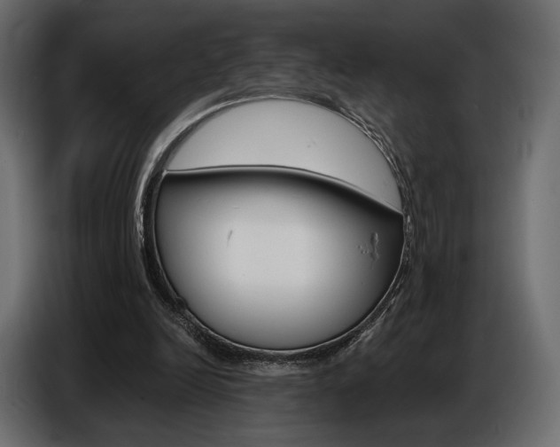X0000086800246200704130906