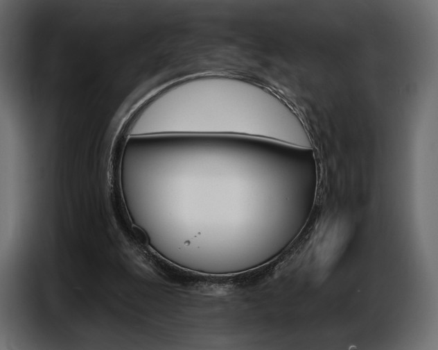 X0000086800247200704130906