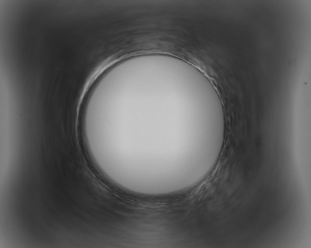 X0000086800248200704130906