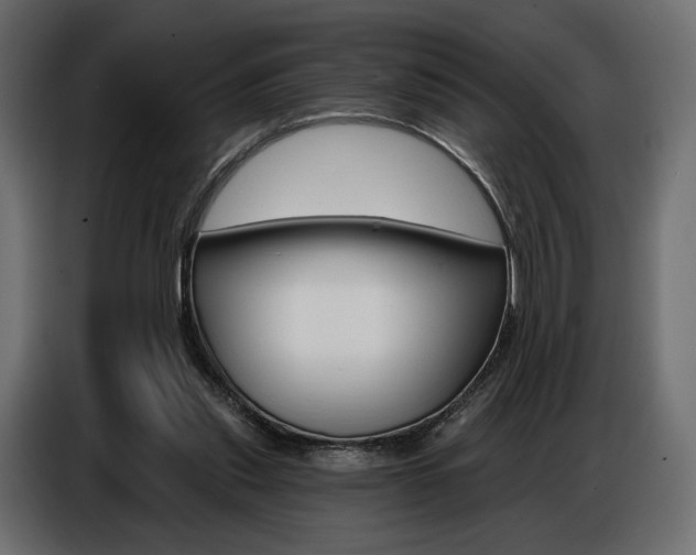 X0000086800253200704130907