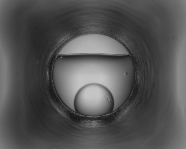 X0000086800254200704130907