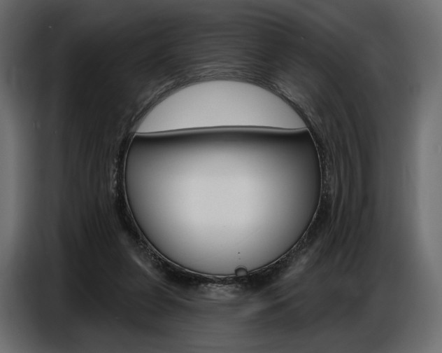 X0000086800255200704130907