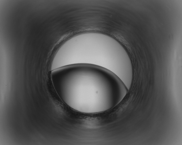 X0000086800256200704130907