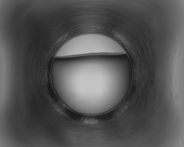 X0000086800258200704130907