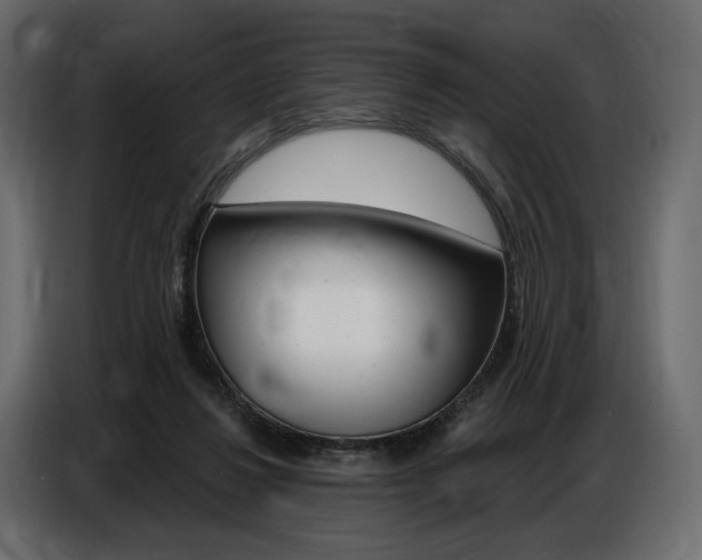 X0000086800260200704130907