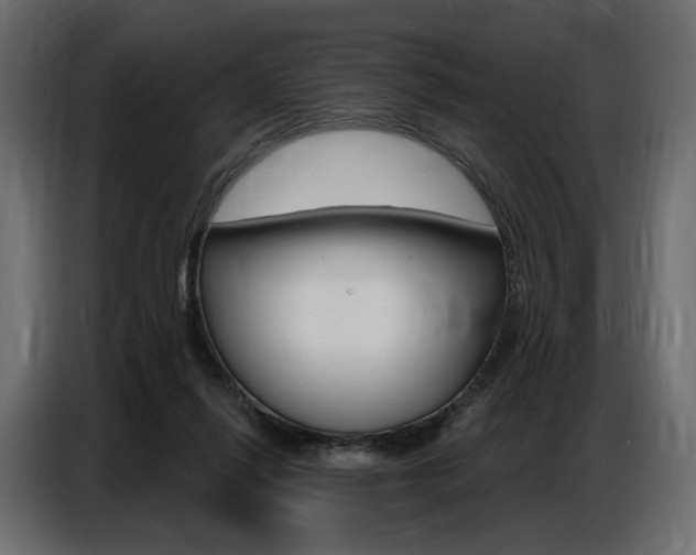 X0000086800262200704130907