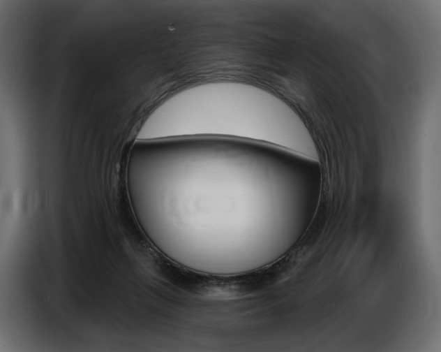 X0000086800263200704130907