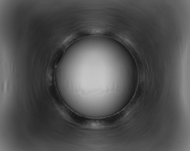 X0000086800264200704130907