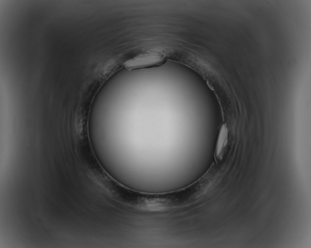 X0000086800268200704130907