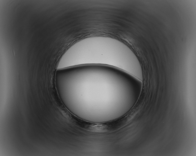X0000086800269200704130907