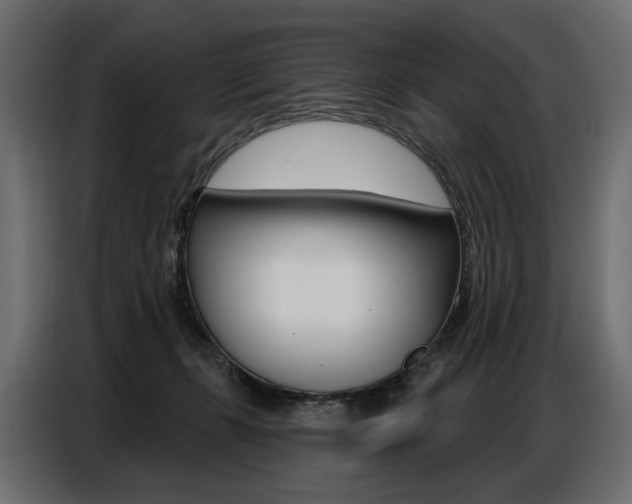 X0000086800271200704130907