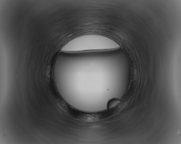 X0000086800275200704130907