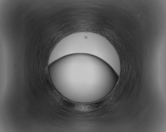 X0000086800276200704130907