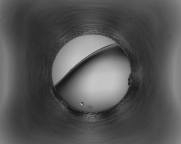 X0000086800277200704130907