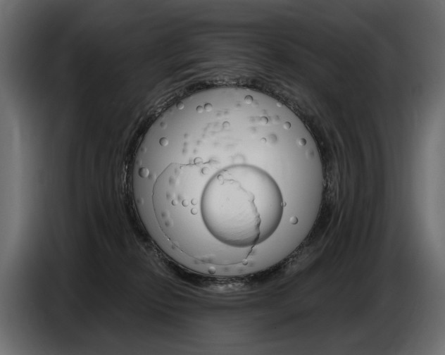 X0000086800278200704130907