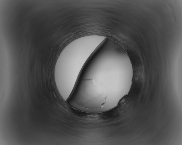 X0000086800279200704130907
